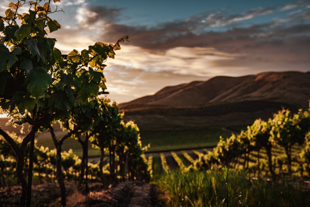 Award-Wining Wineries Okanagan Valley, BC