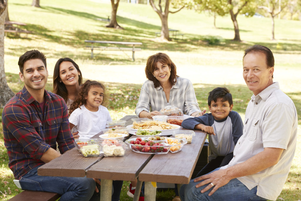 family having a picnic at a park